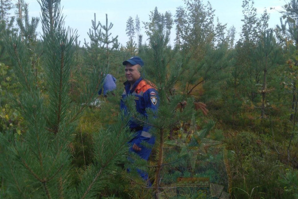 ПОИСКОВИКИ НАШЛИ ПЕНСИОНЕРКУ, ЗАБЛУДИВШУЮСЯ В ЛЕСУ У ЛОДЕЙНОГО ПОЛЯ