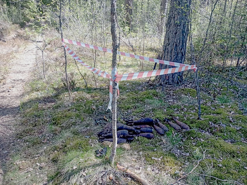 НАШЛИ БОЕПРИПАСЫ В ЗАПОВЕДНИКЕ