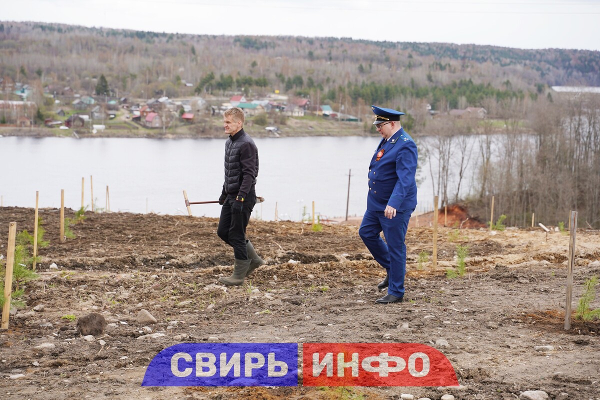 ВЫСАДИЛИ 212 ТЫСЯЧ ДЕРЕВЬЕВ