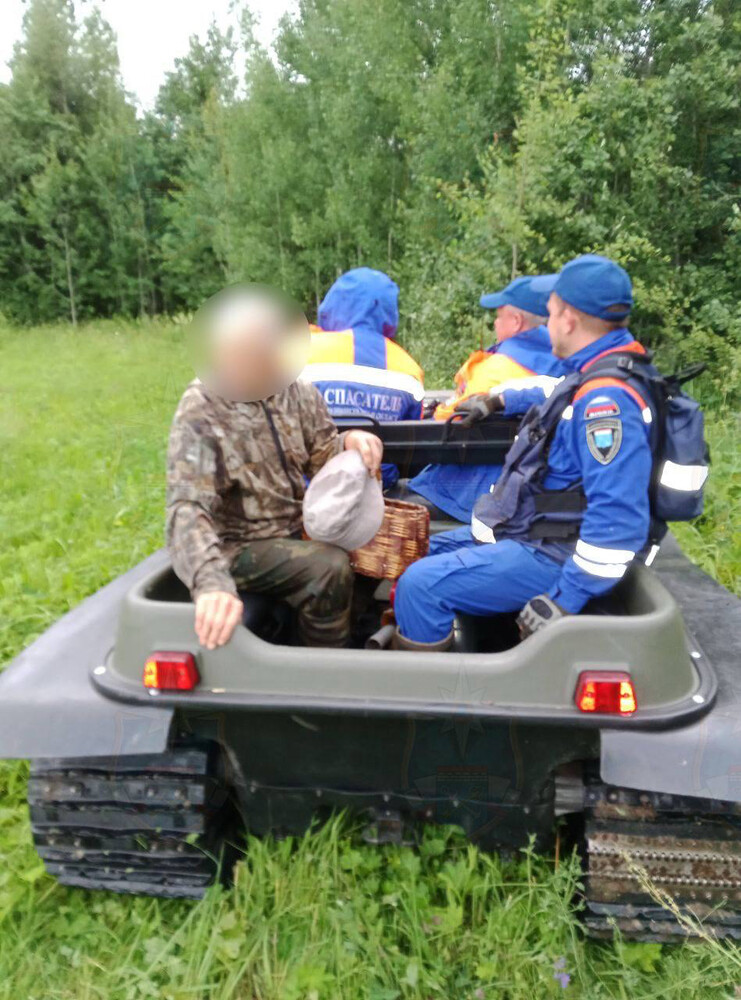 ЗАБЛУДИЛСЯ У УСЛАНКИ