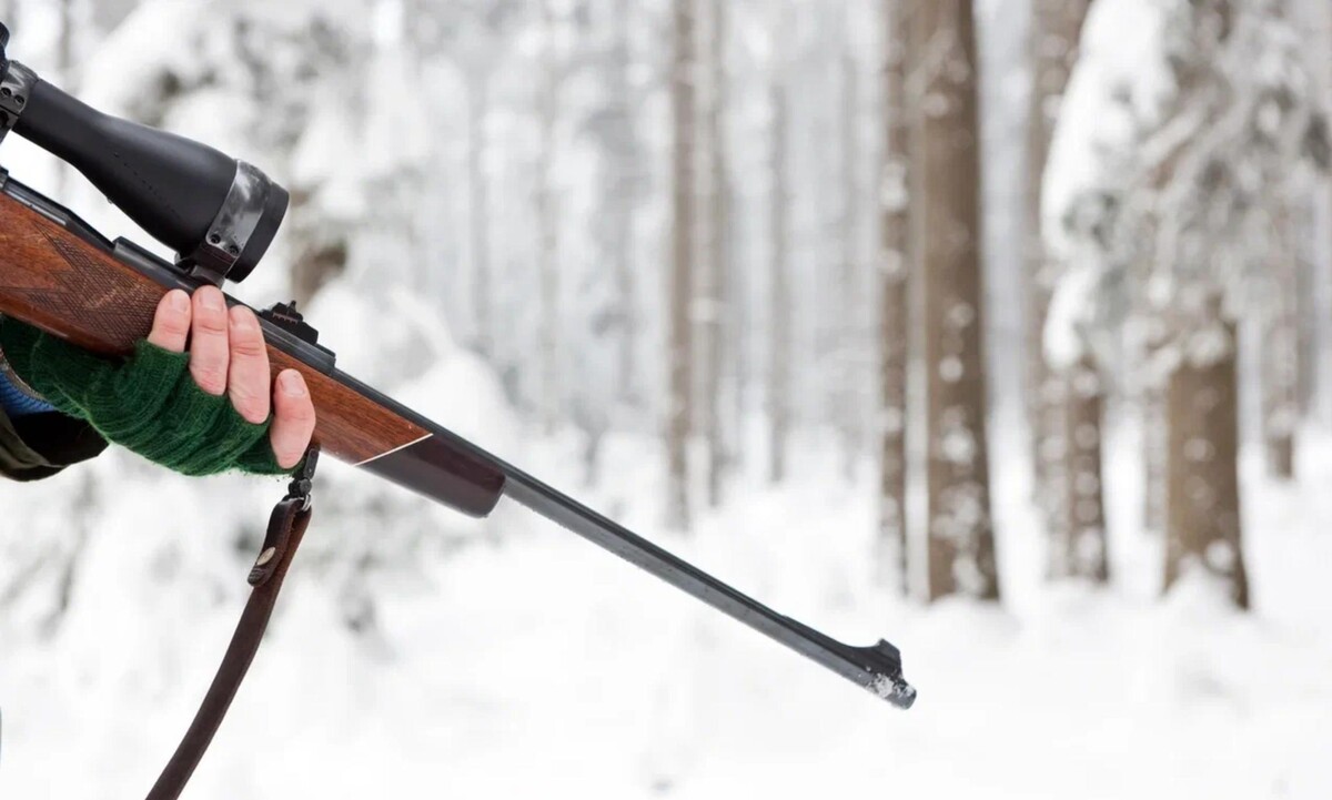 УБИЛИ БЕРЕМЕННУЮ ЛОСИХУ УБИЛИ БЕРЕМЕННУЮ ЛОСИХУ