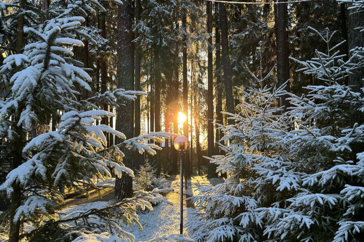 СНЕЖНЫЙ ШТАБ ПРИСТУПИЛ К РАБОТЕ СНЕЖНЫЙ ШТАБ ПРИСТУПИЛ К РАБОТЕ