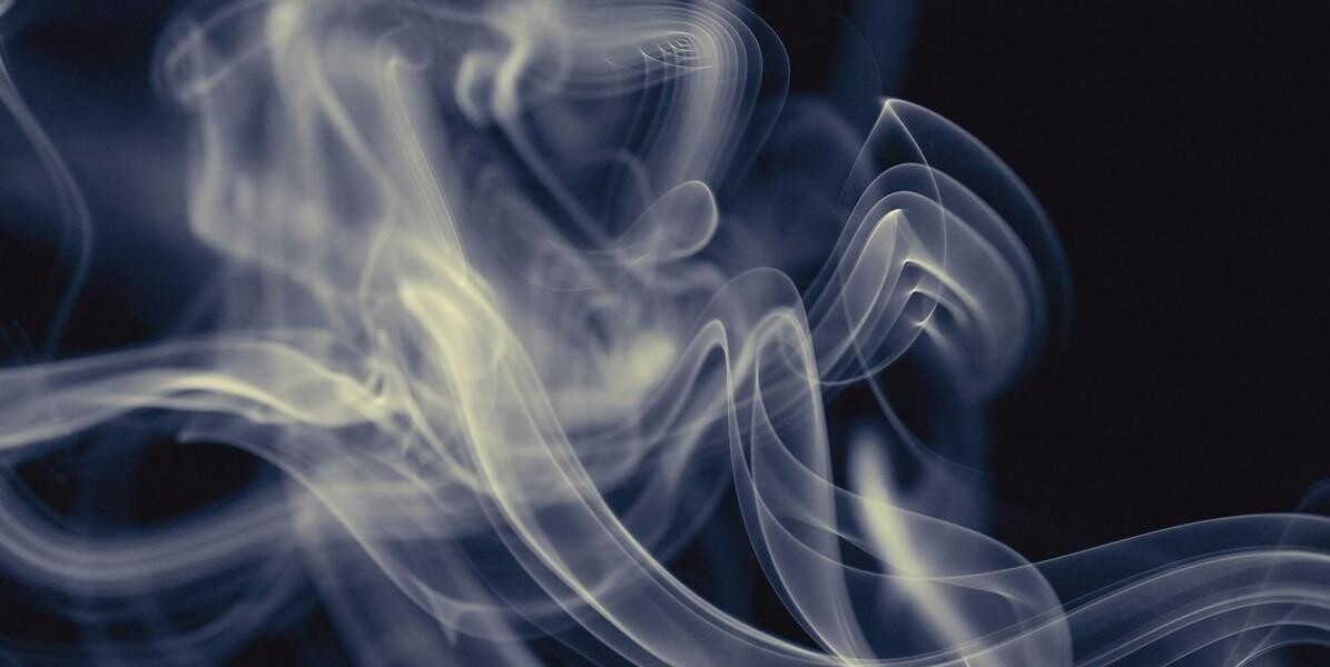 ОТРАВИЛИСЬ УГАРНЫМ ГАЗОМ