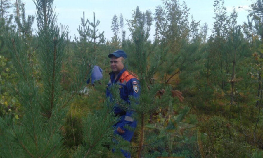 ПОИСКОВИКИ НАШЛИ ПЕНСИОНЕРКУ, ЗАБЛУДИВШУЮСЯ В ЛЕСУ У ЛОДЕЙНОГО ПОЛЯ