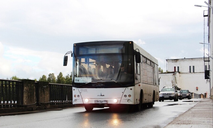 ПОЯВЯТСЯ ПУНКТЫ ДОСМОТРА ТРАНСПОРТА