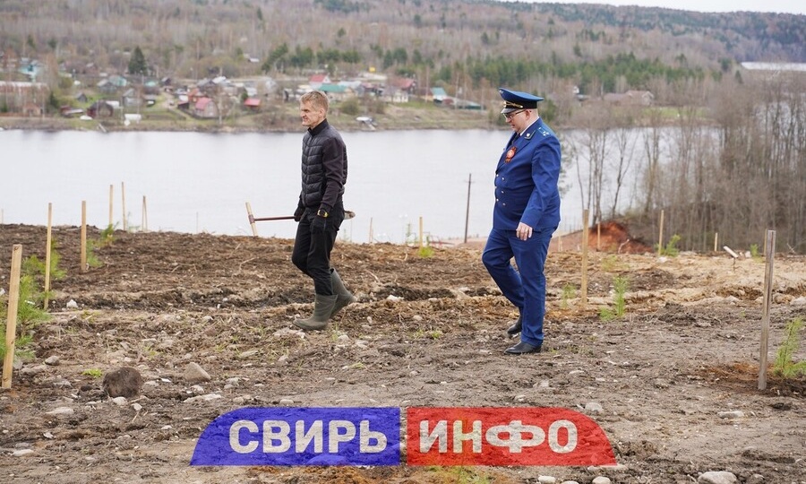 ВЫСАДИЛИ 212 ТЫСЯЧ ДЕРЕВЬЕВ