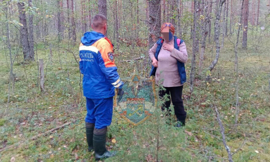 ЗАБЛУДИЛАСЬ У СТАРОГО АЭРОДРОМА