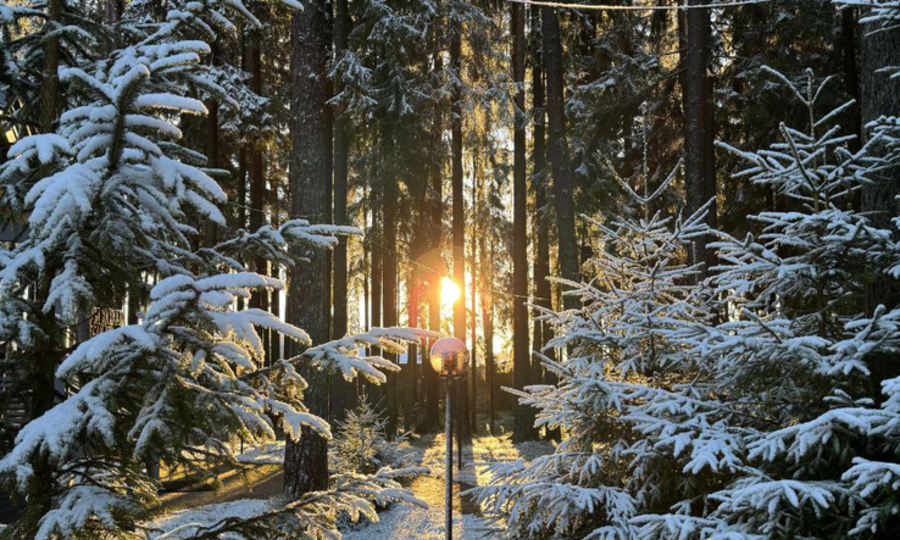 СНЕЖНЫЙ ШТАБ ПРИСТУПИЛ К РАБОТЕ