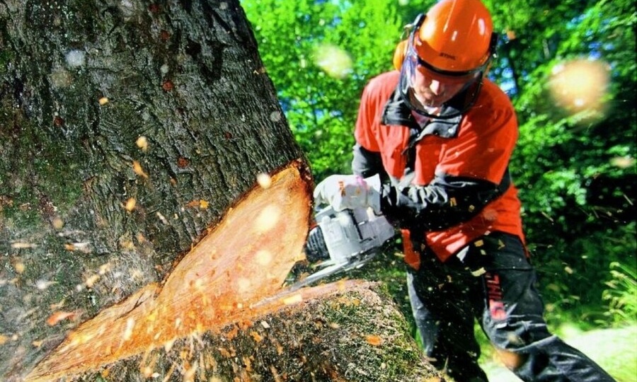 НАПИЛИЛ НА 400 МЛН РУБЛЕЙ